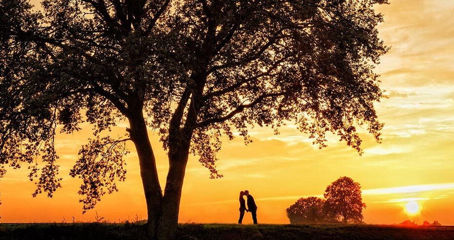 Ein Paar küsst sich unter einem Baum in der Nähe von Lüneburg.