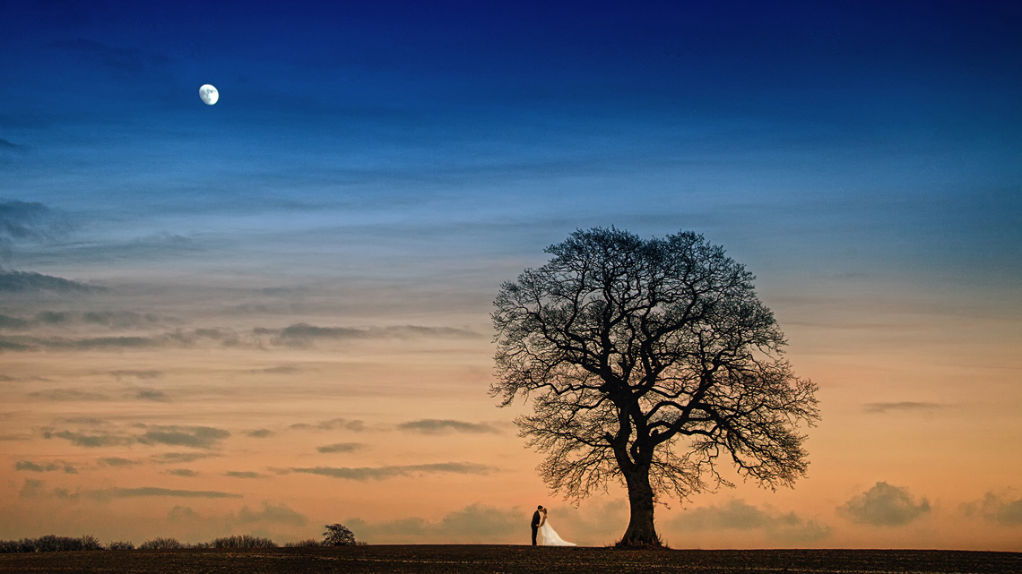 Hochzeitsfotograf Kiel Das Bild zeigt das Brautpaar neben einem Baum und darüber scheint der Mond