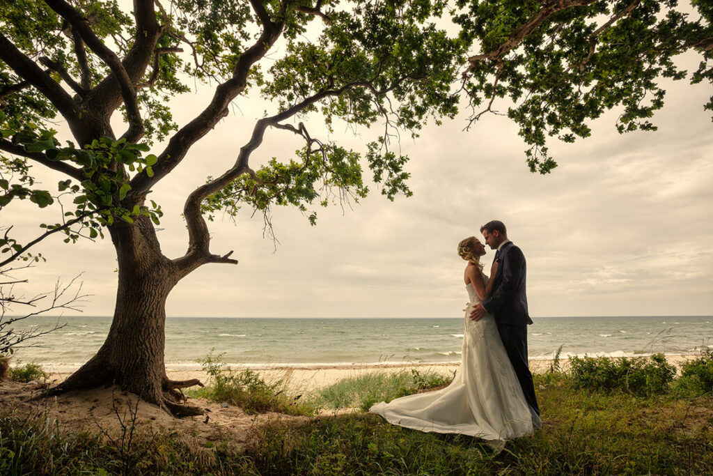 Hochzeitsfotograf Kiel ein Bild mit Baum an der Küste